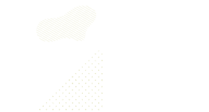 Design 03 section 01 bg 2