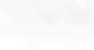 Wp designer bg 1
