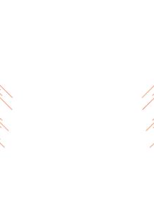 Bg 2