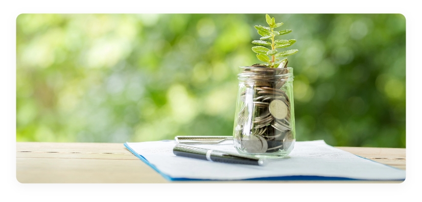 Plant growing from coins glass jar blurred nature